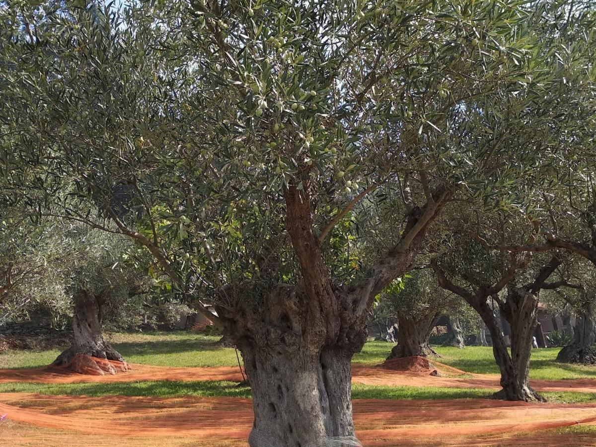 למזיה טרמה B&B Casa Gemma מראה חיצוני תמונה