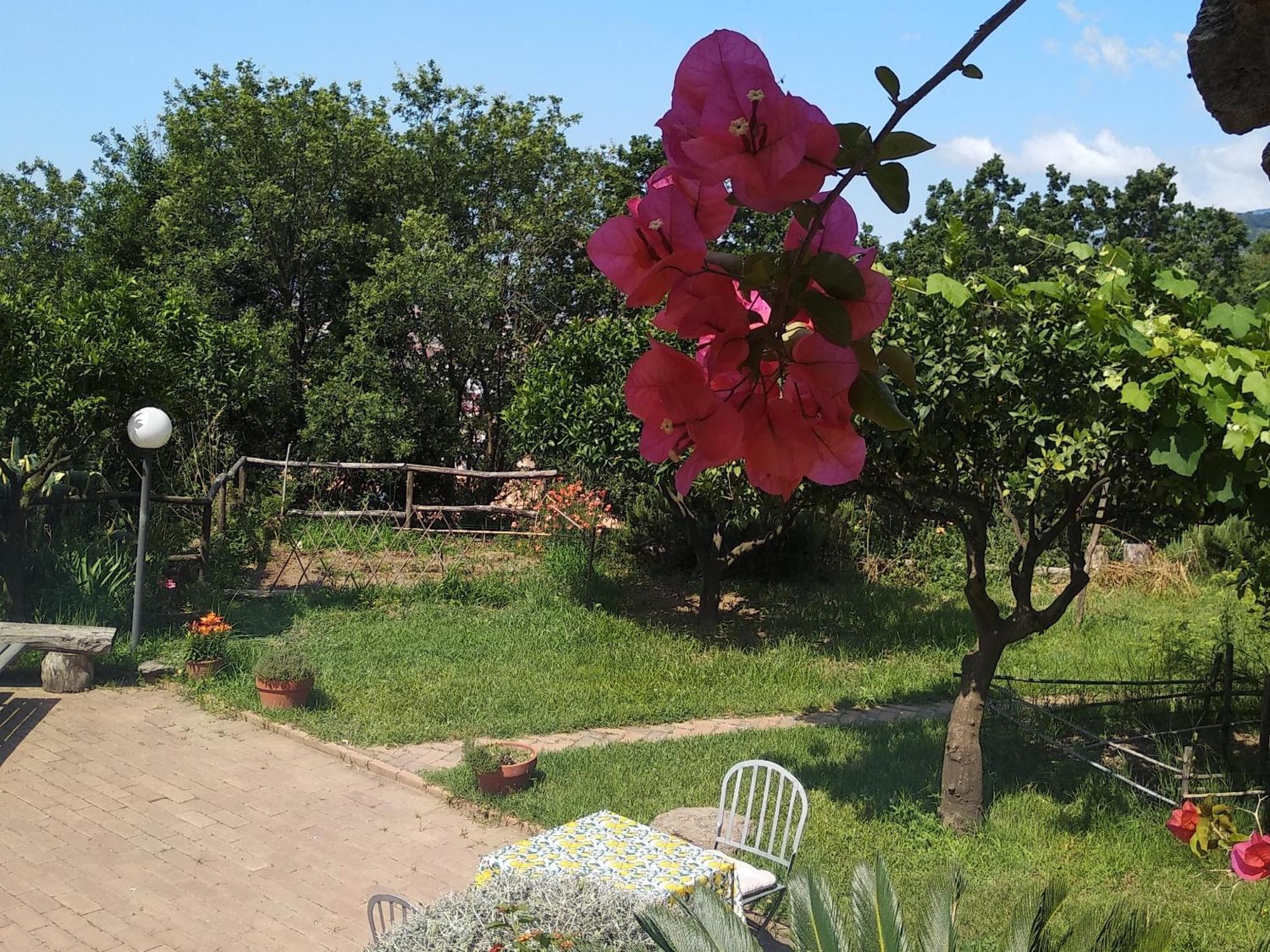למזיה טרמה B&B Casa Gemma מראה חיצוני תמונה